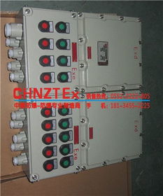 Bxq系列防爆電磁起動配電箱與工業(yè)插頭的應用與優(yōu)勢